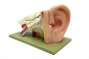  דלקת אוזן תיכונה חדה